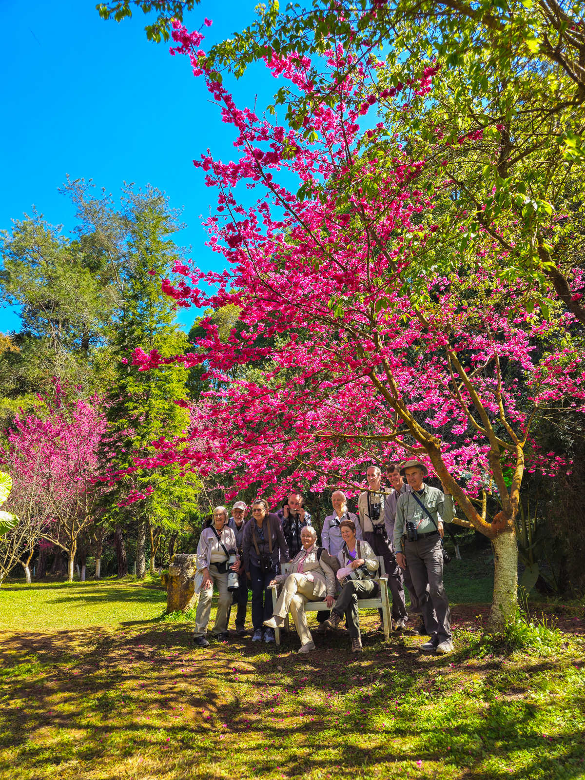 Birders at Doiangkhang