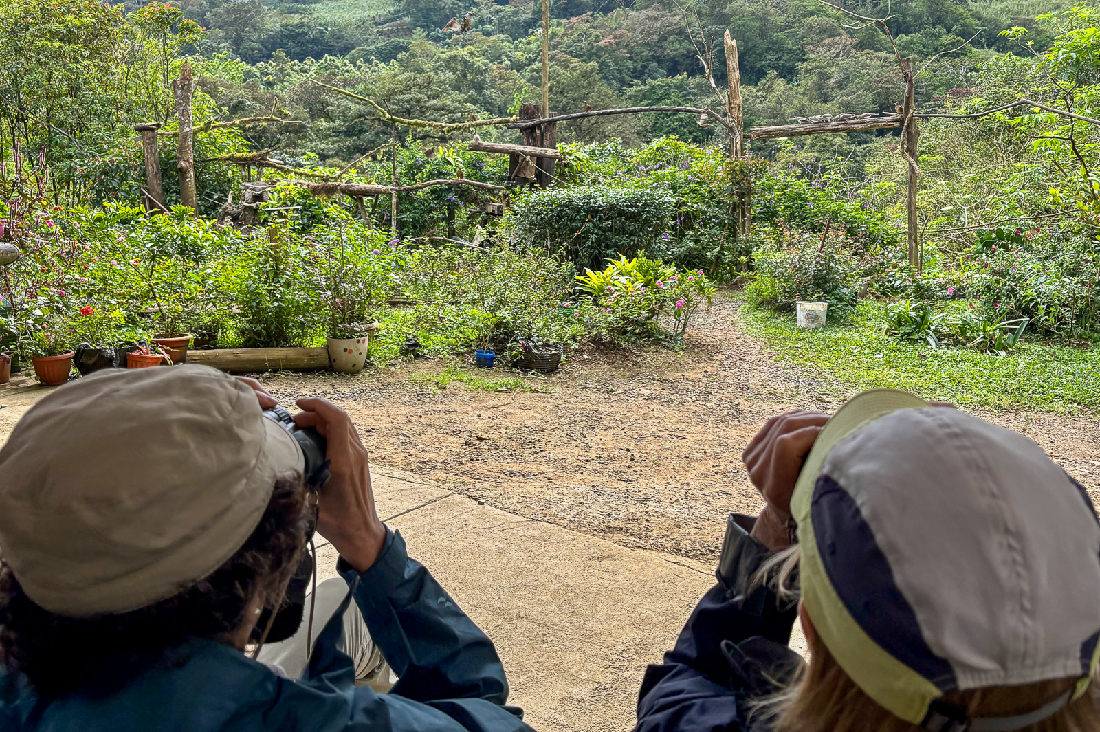 Birders in Costa Rica