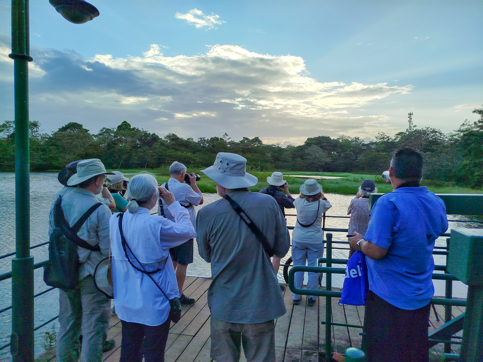 Birding in Caño Negro