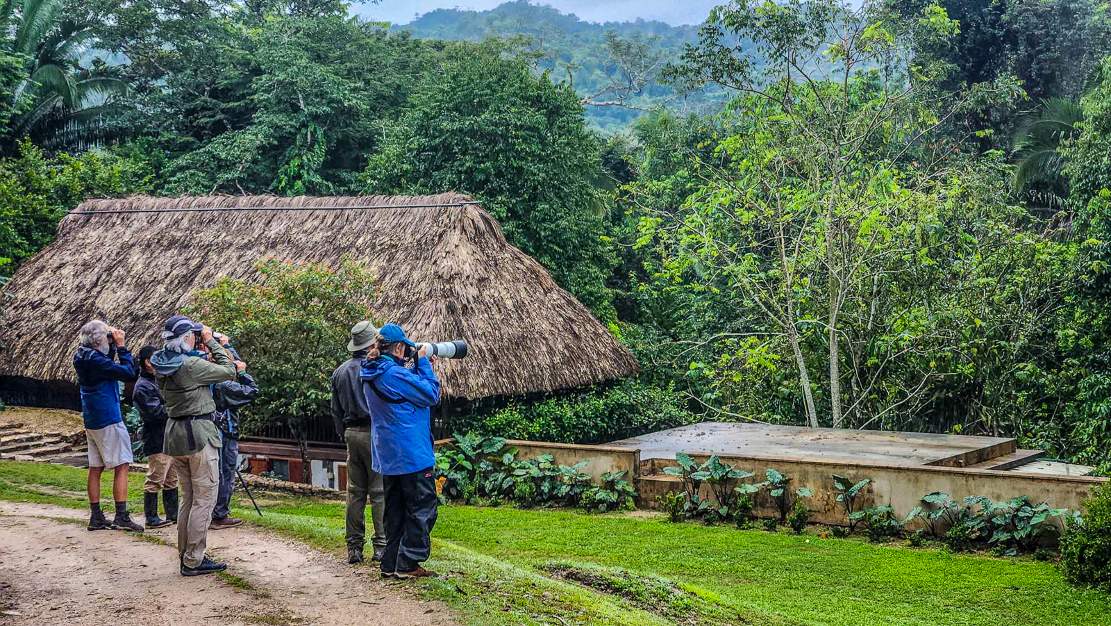Birding in front of cabana