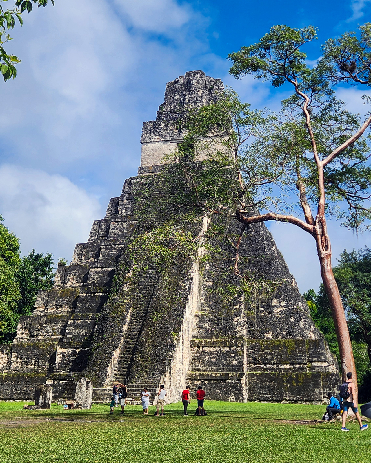 Tikal temple
