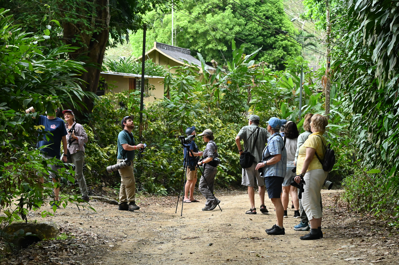 Birding in Punta Leona