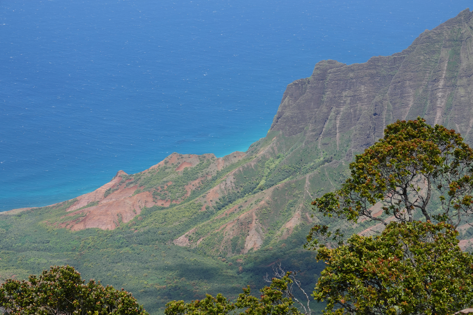 Kalalau Lookout