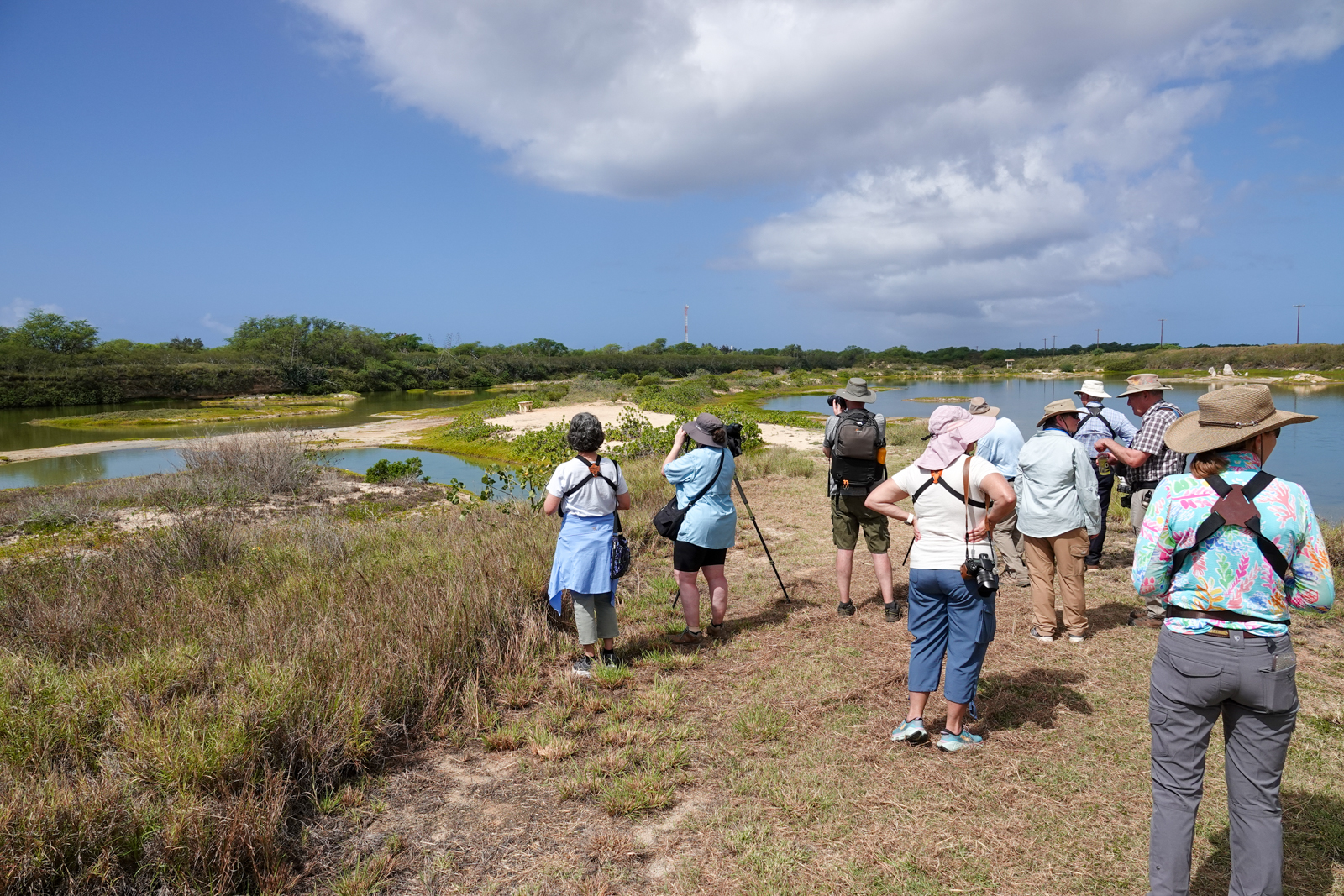 Birding group at Kawaiele State Waterbird Sanctuary