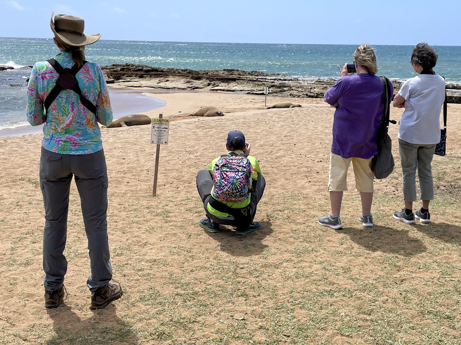 These endangered and endemic Hawaiian Monk Seals lounged on the beach during our lunch
