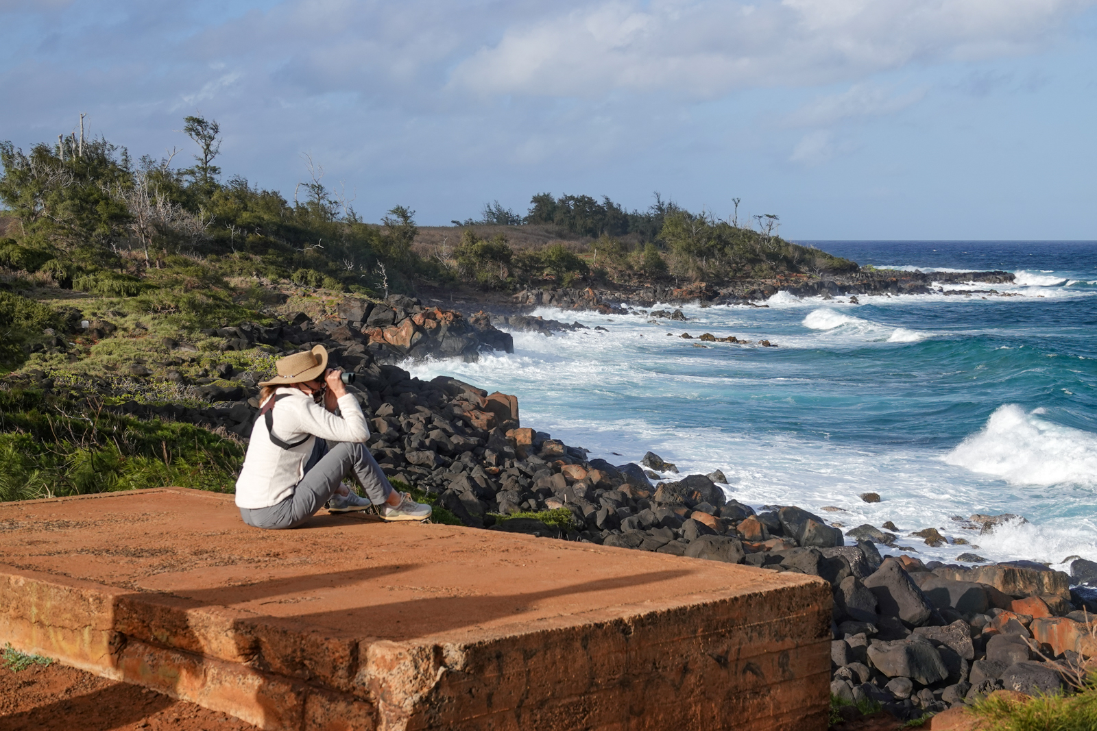 Seawatch at Nawiiwii Lighthouse