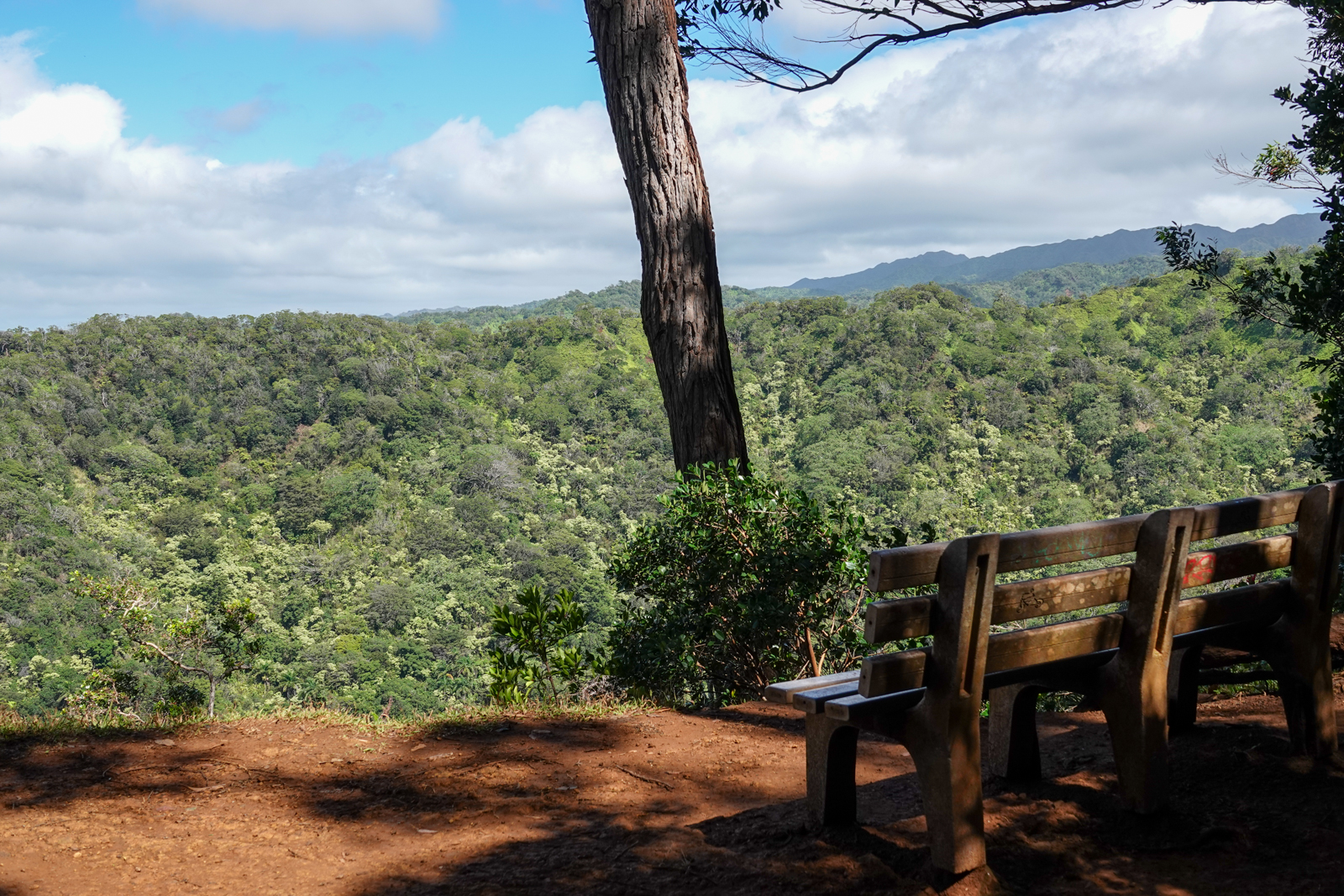 Aiea Loop Trail 