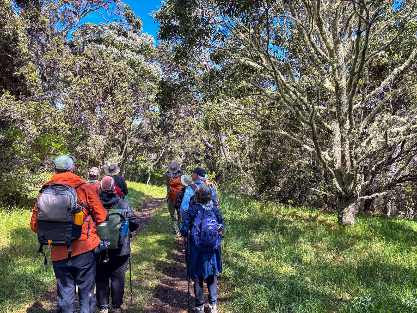 Group at Hakalau