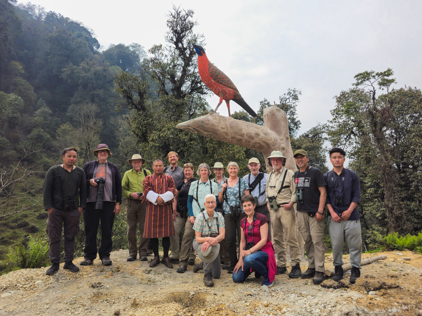Birding tour in Bhutan, group with Tragopan