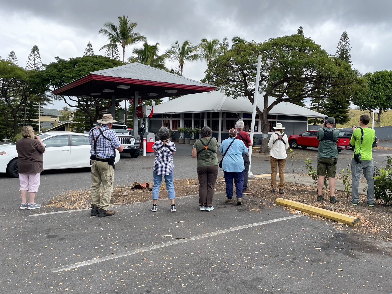 Lovebird gas station
