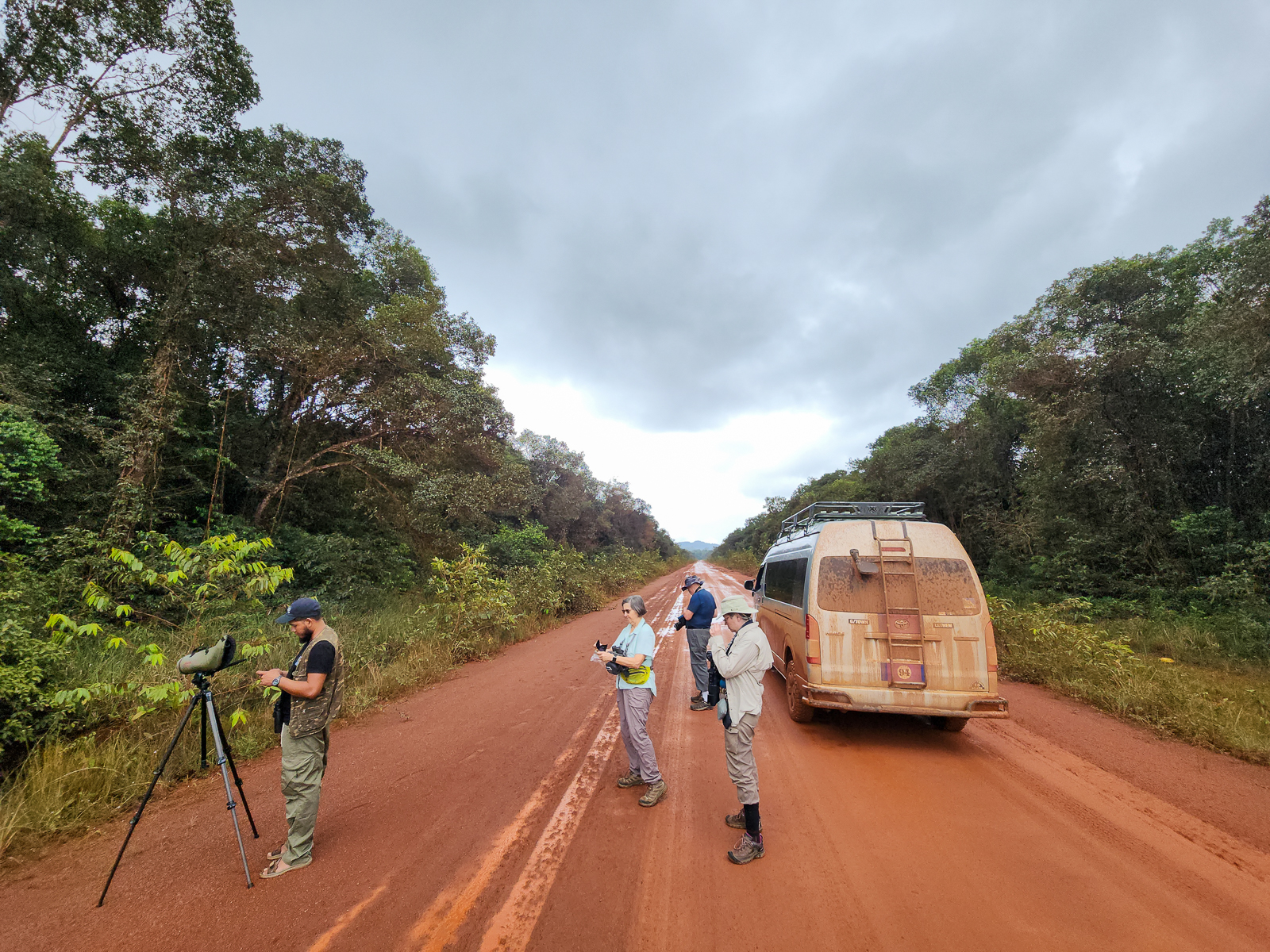 Atta roadside birding