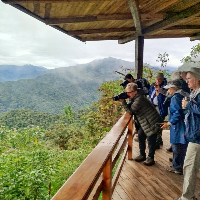 Birding at Guaycapi Lodge