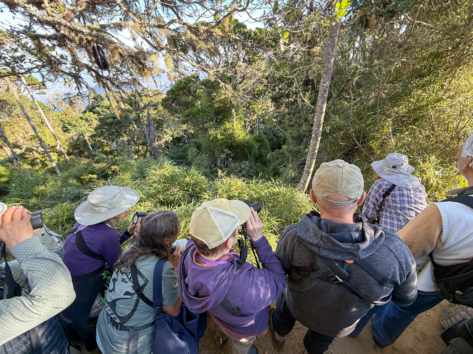 Birding Cuchilllade San Lorenzo