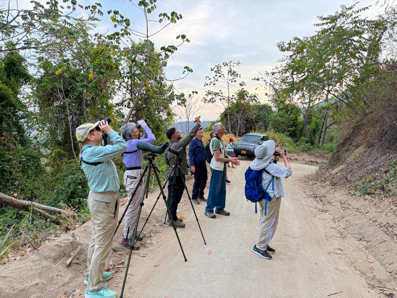 Birding Sierra Nevada, Santa Marta