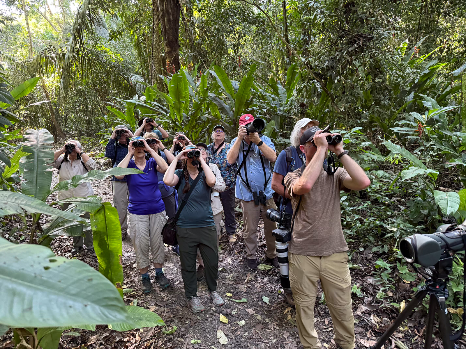 Birding in Carara National Park