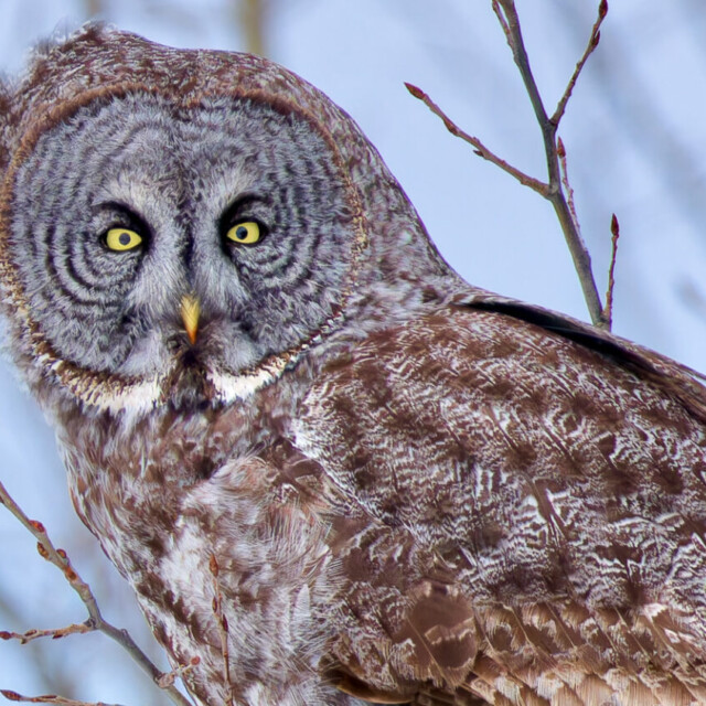 Explore Eagle-Eye Tours for Canada