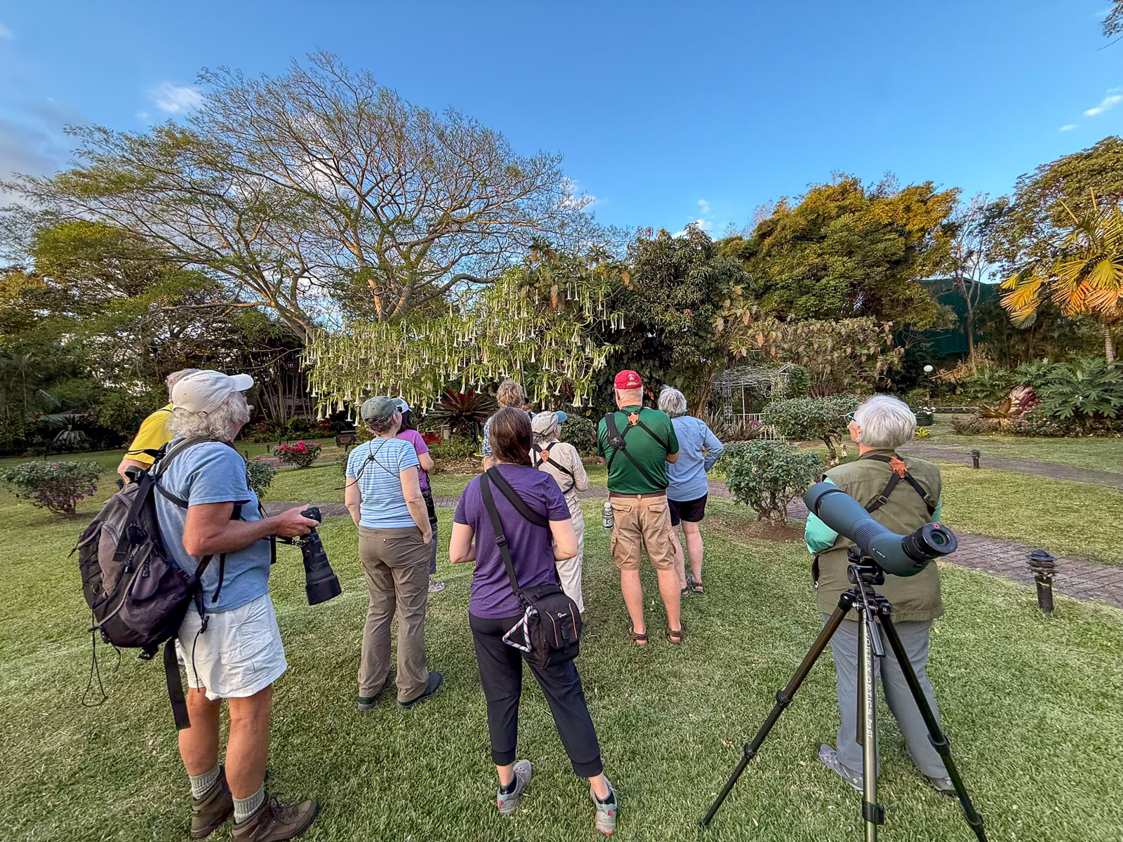 Birding tour Costa Rica