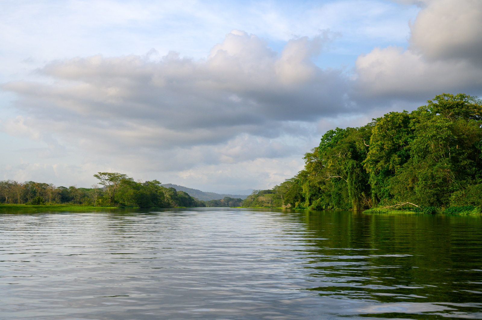 Rio Chagres