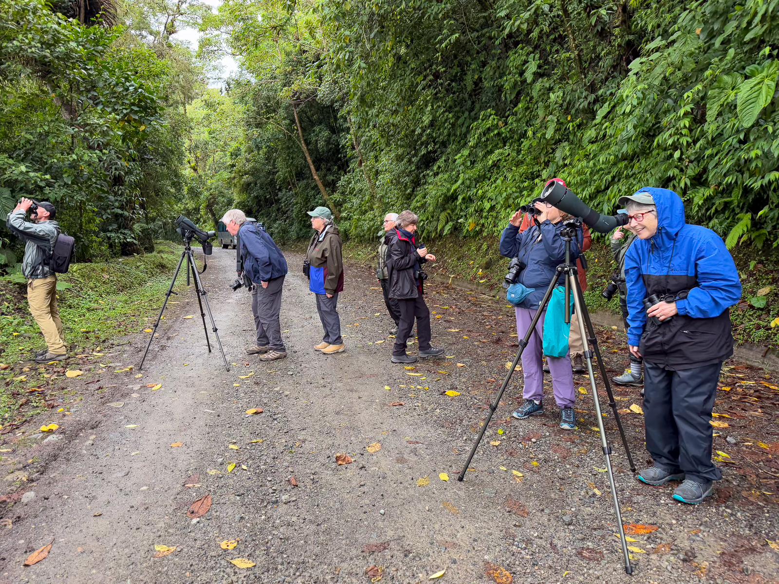 Rio Macho birding, Costa Rica