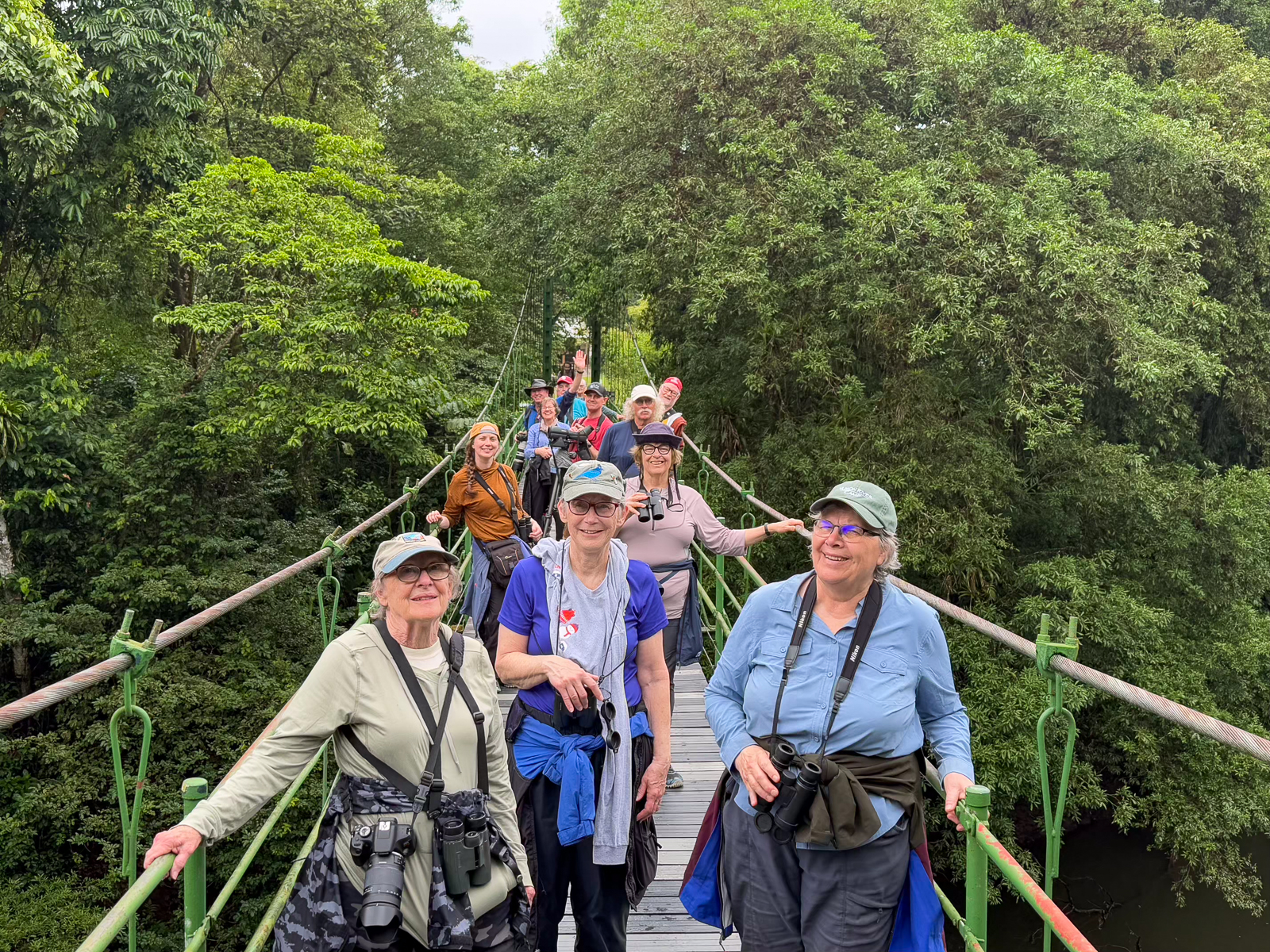 Birding canopy towers