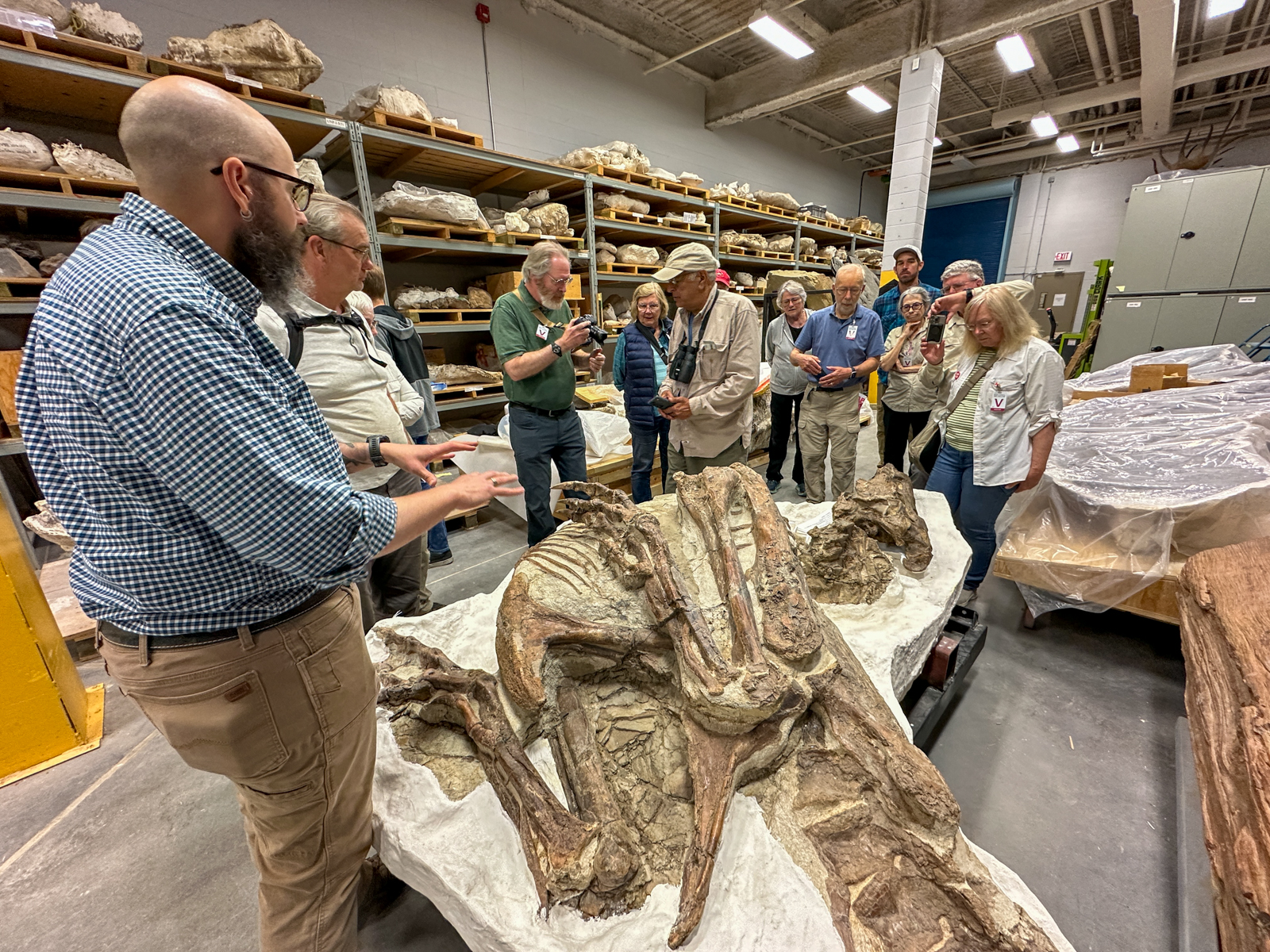 Behind the scenes at Royal Tyrell museum