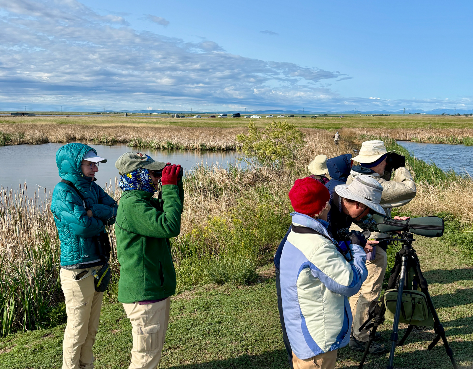 Birding at Frank Lake