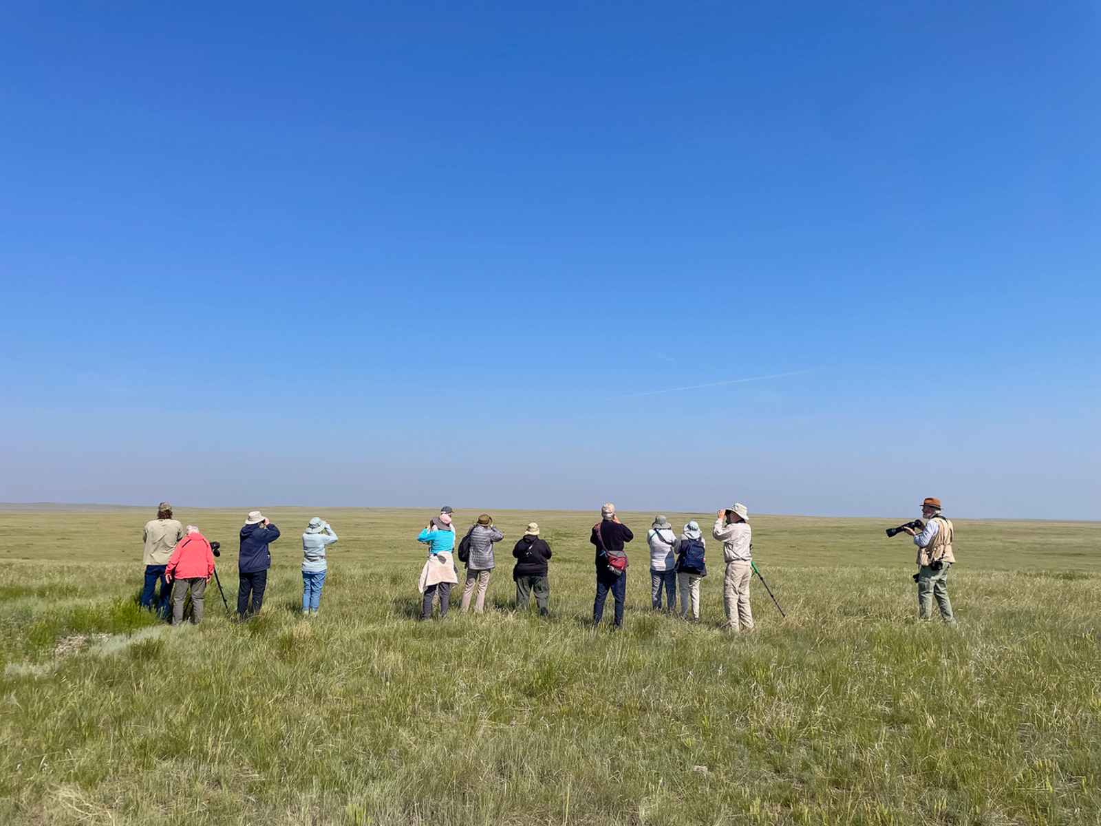 Birding on the prairies