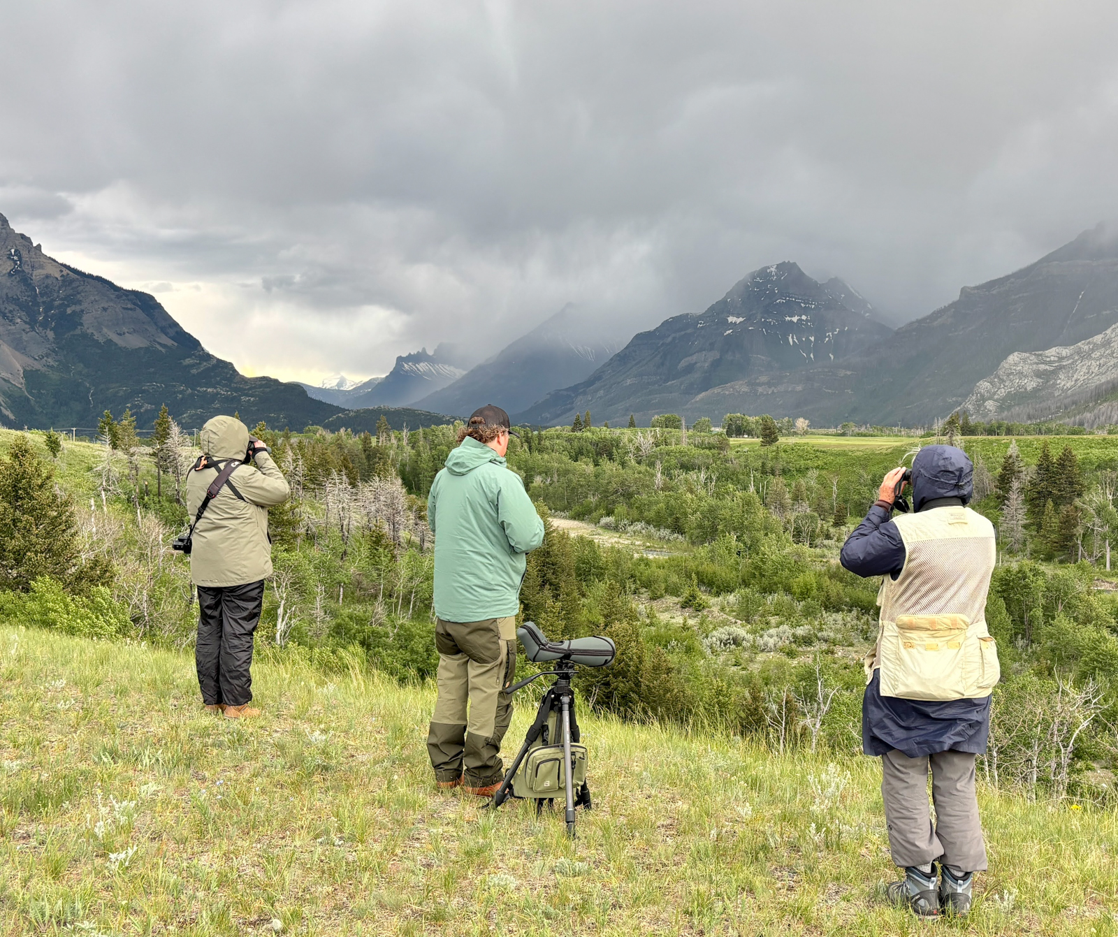 Birders in the Rockies