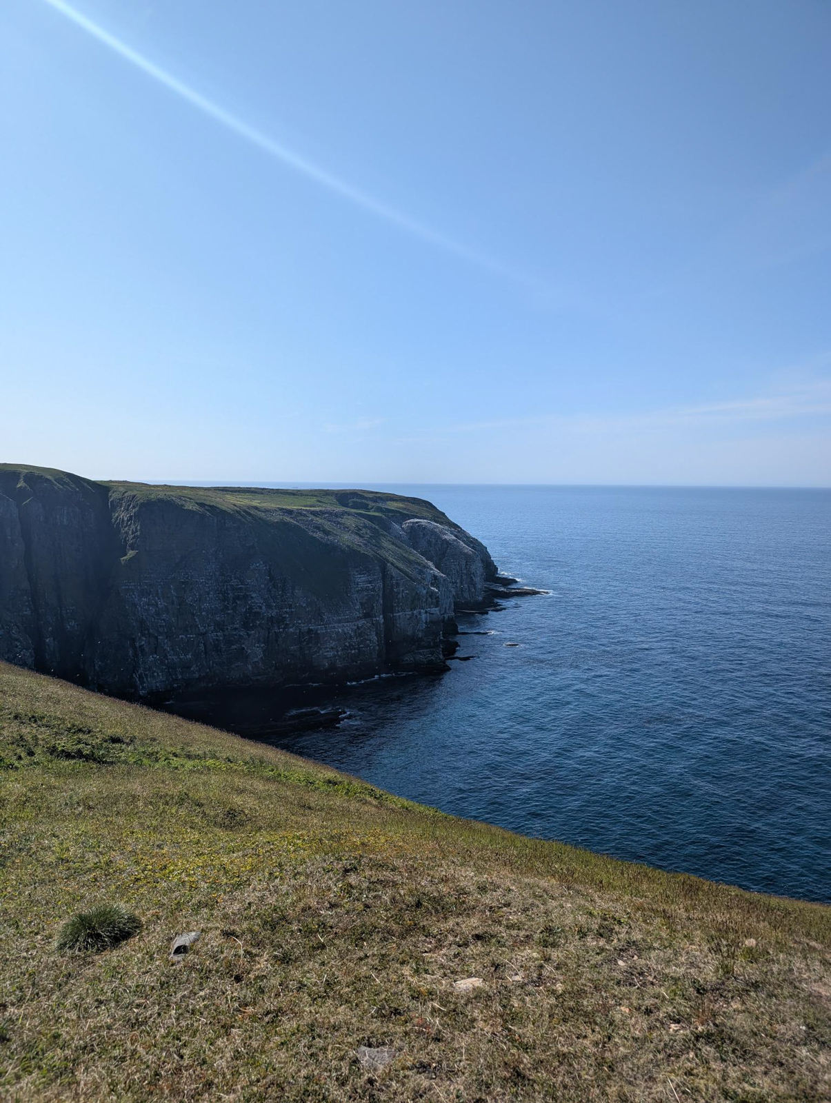 Cape St. Mary's landscape