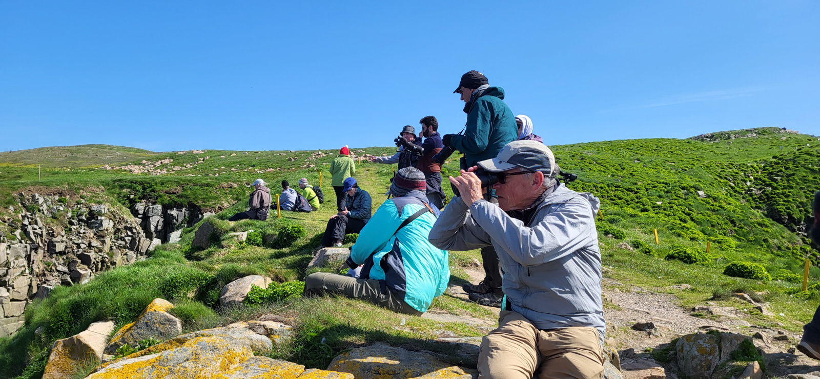 Birding at Cape St. Mary's