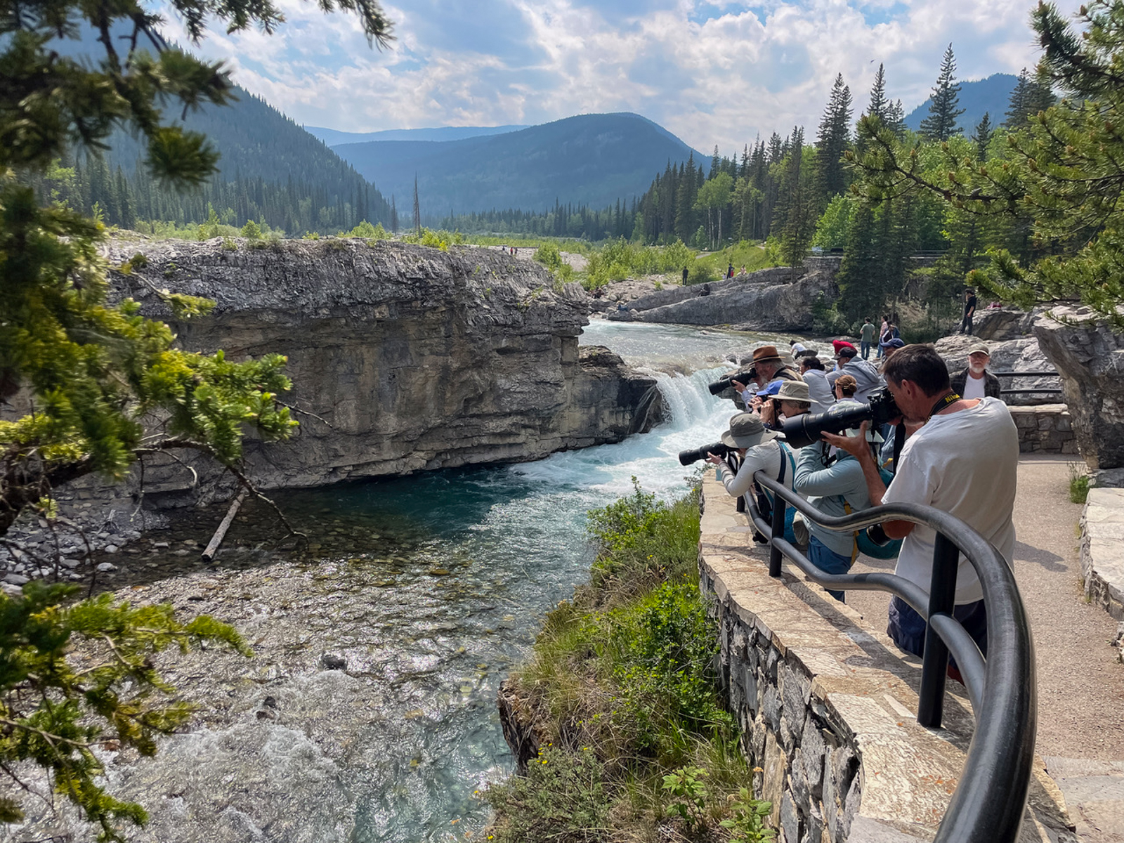 Birding at Elbow Falls