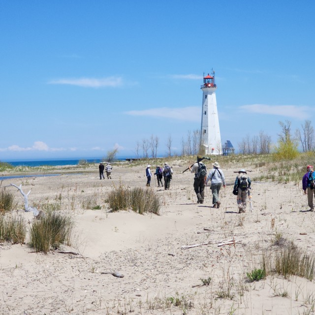 Birding group at the tip of Long Point