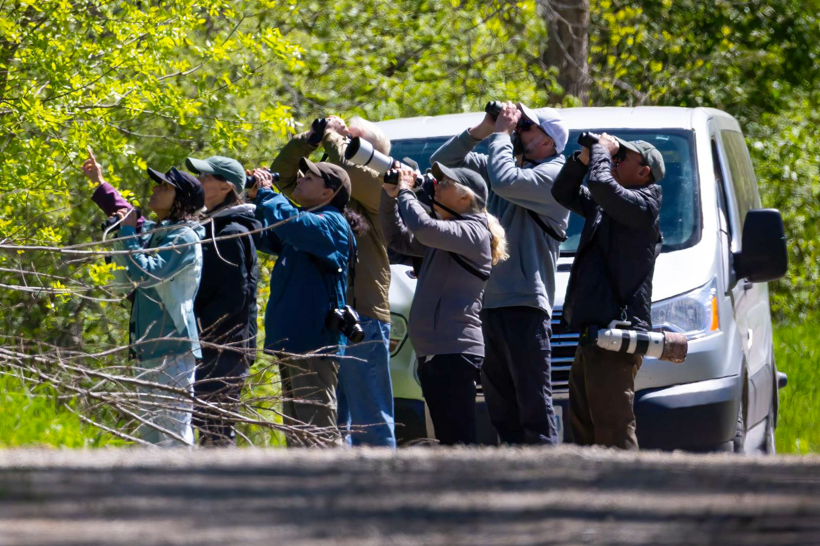 Birding in Point Pelee