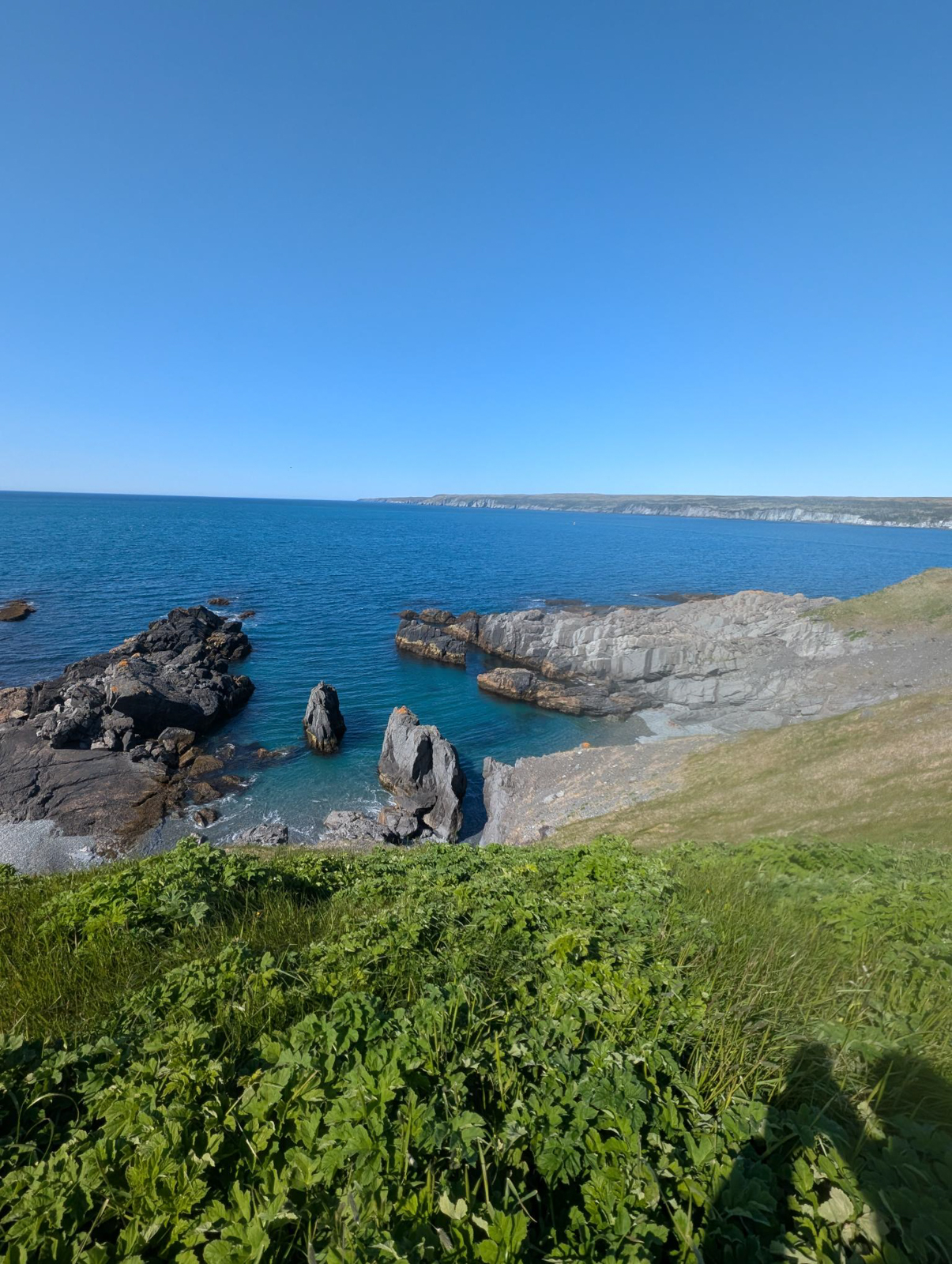 Powles Head
