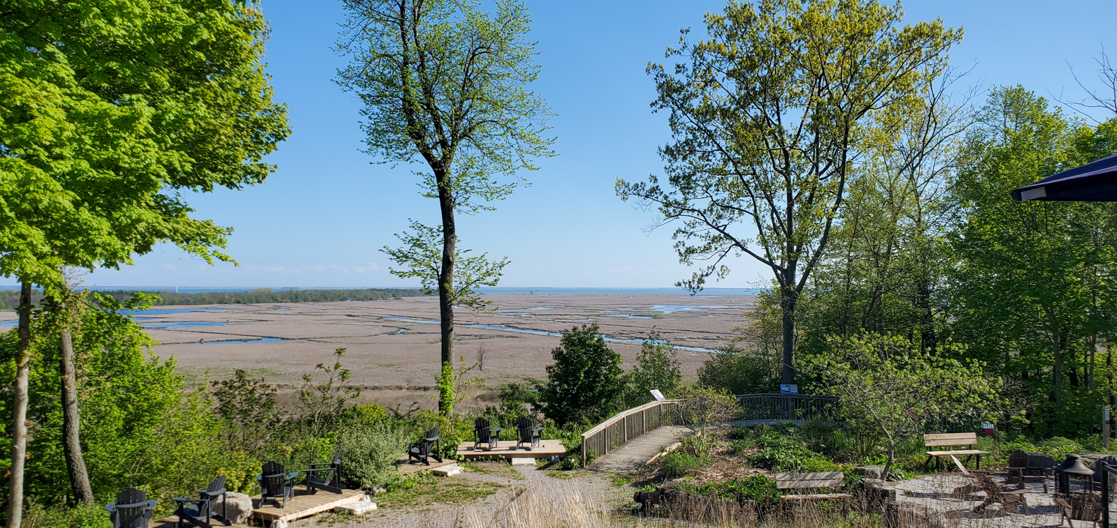 Turkey Point Marsh