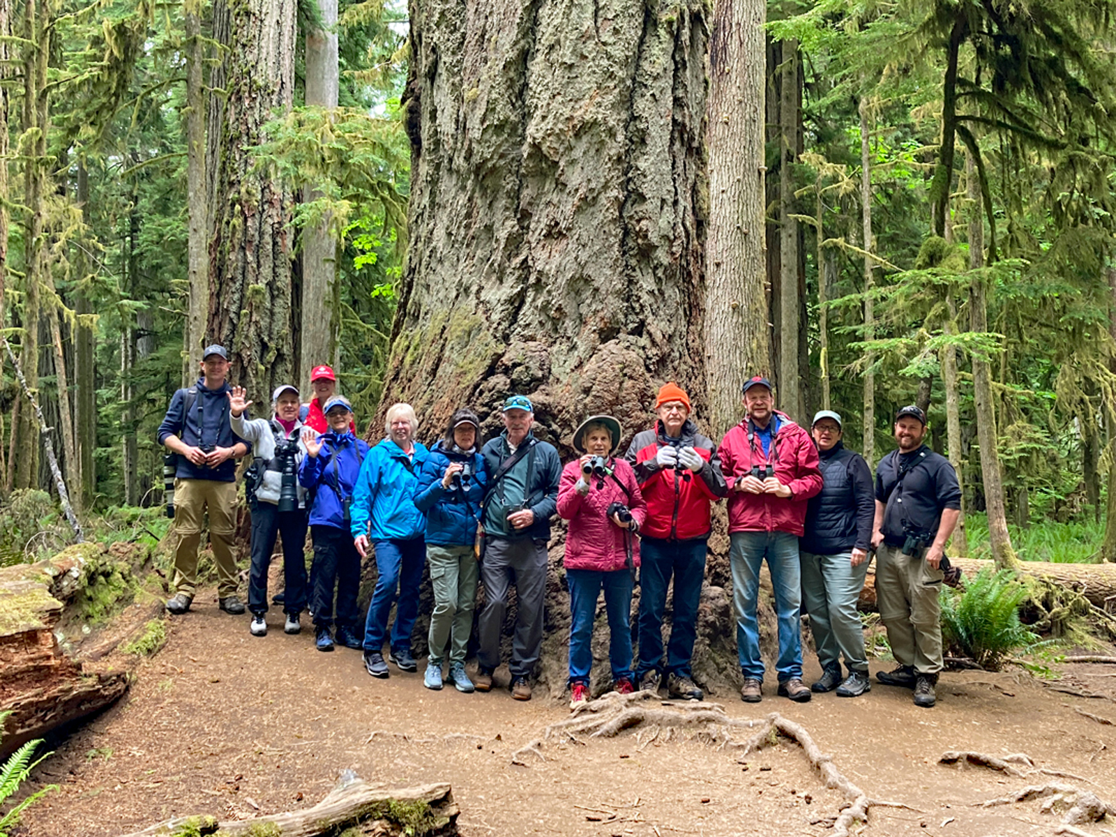Our group at Cathedral Grove