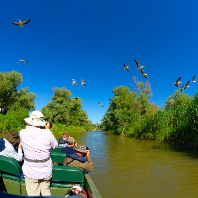 Danube Delta