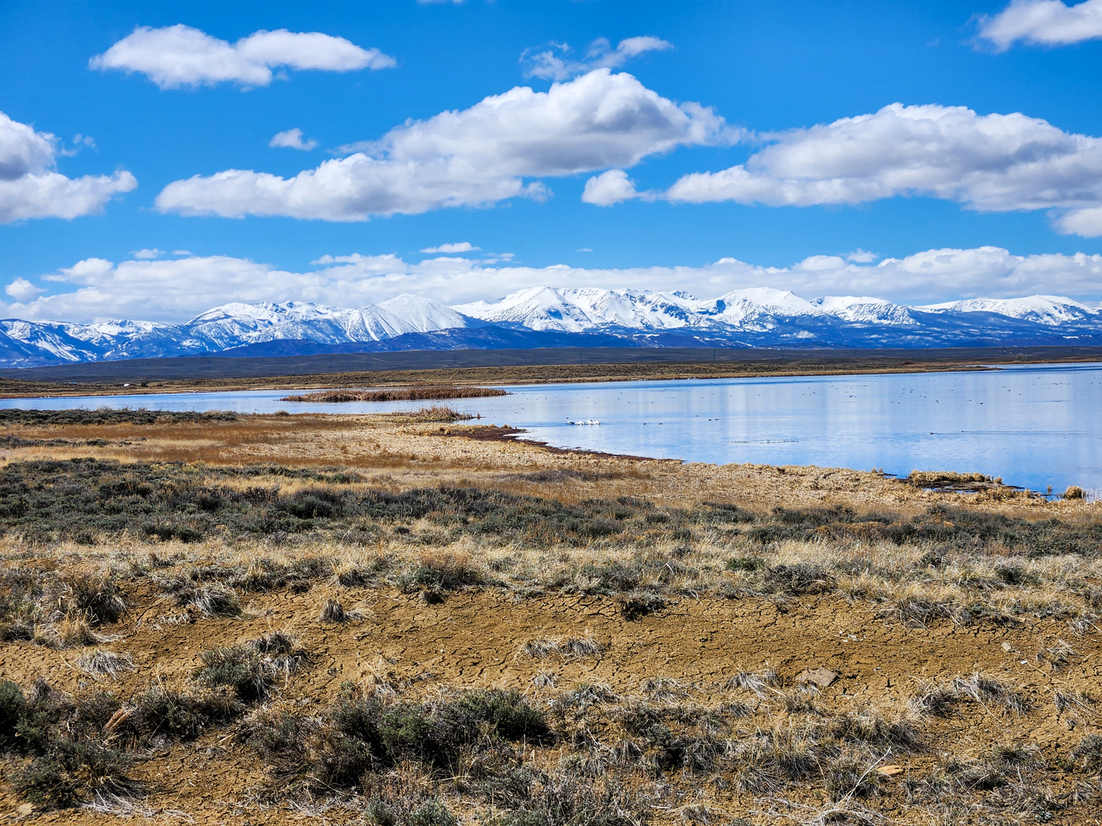 Colorado landscape