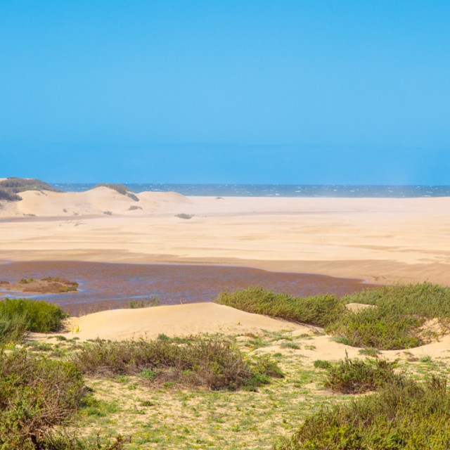 Natural park in Morocco- Souss Massa