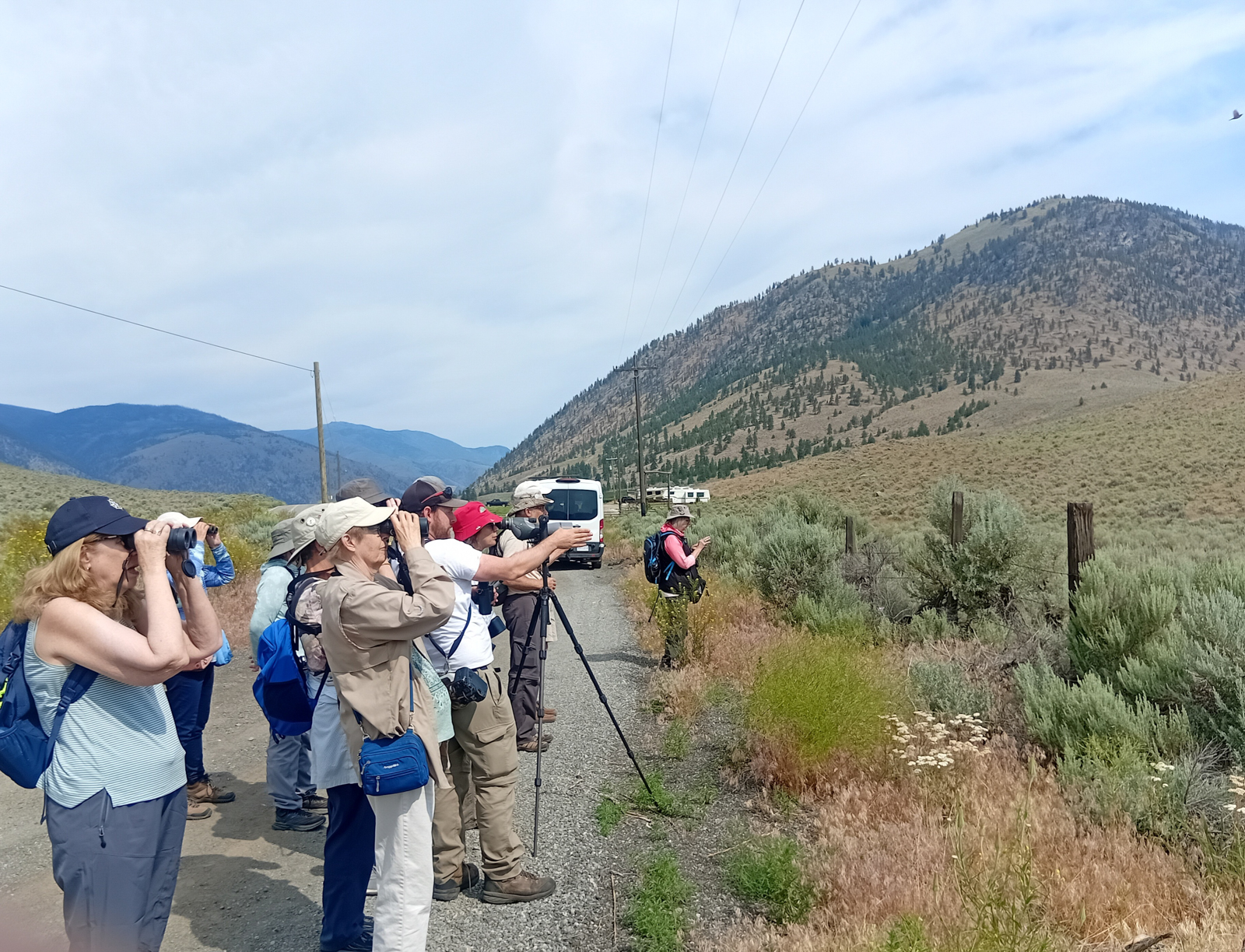 Birding in Osoyoos