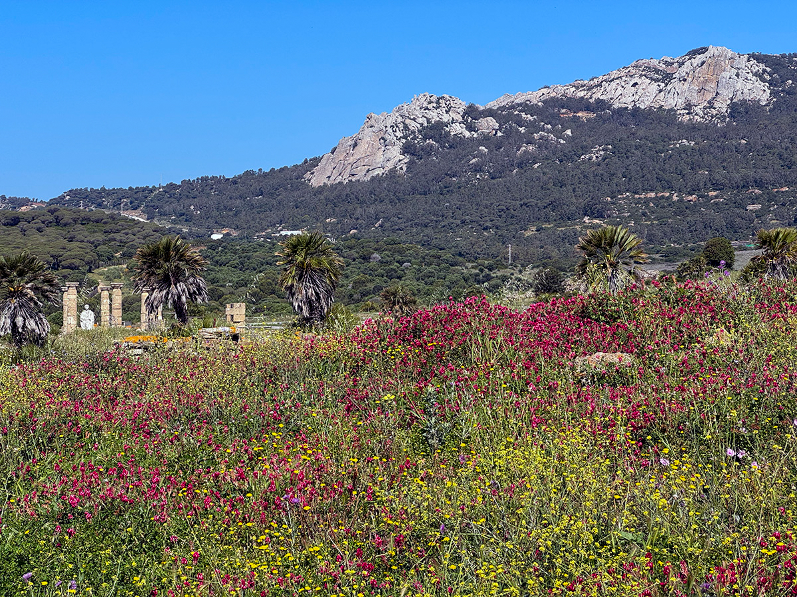Photo 5: Baelo Claudia Roman Archaeological Site