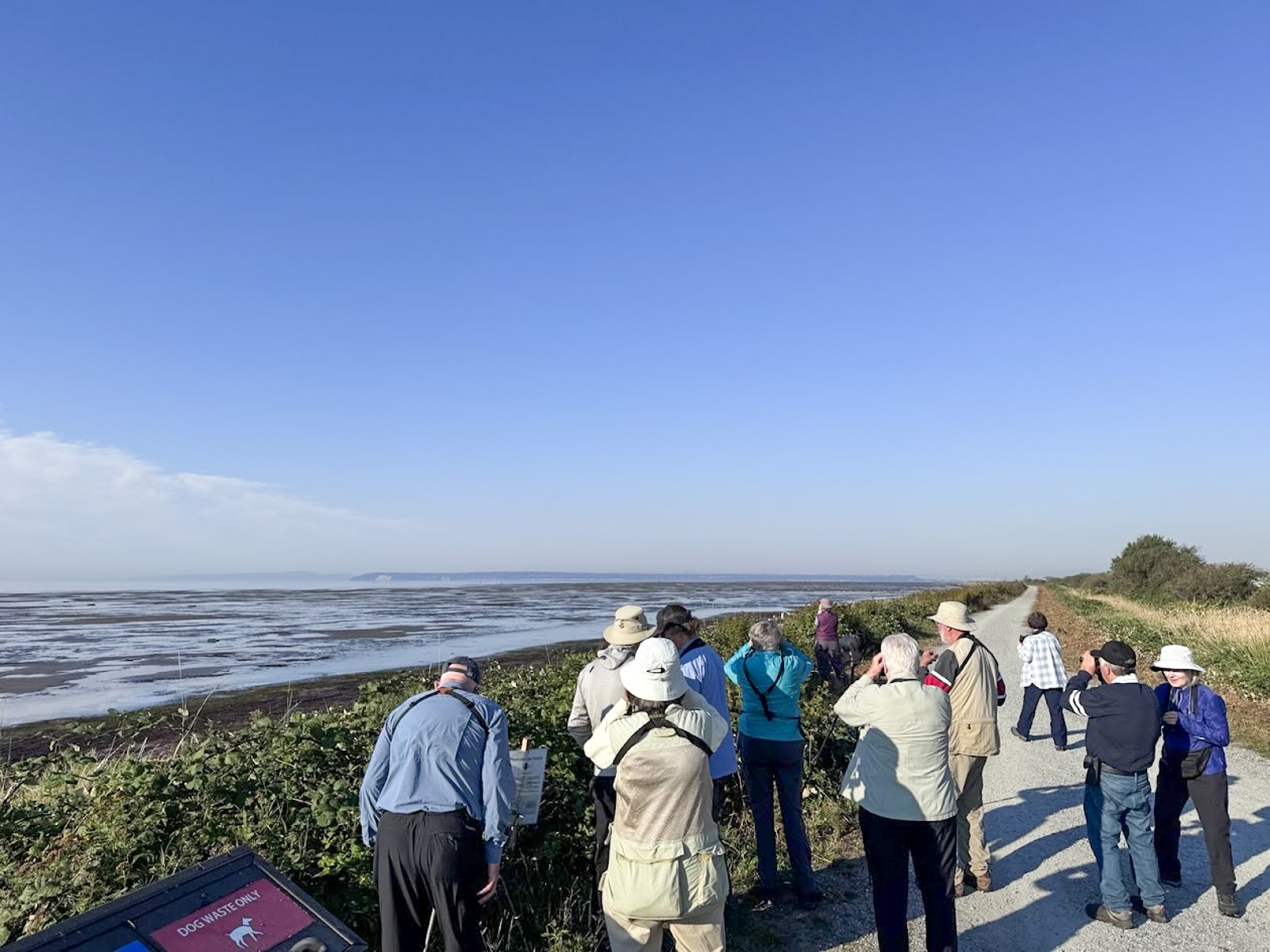 Birding Boundary Bay mudflats