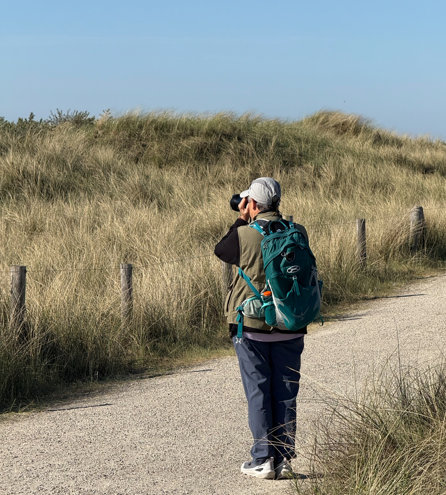 Birding Texel Island