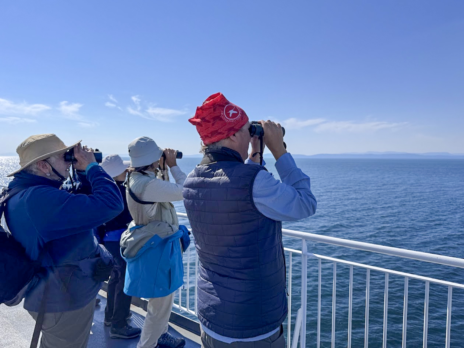 Looking for whales from the Ferry
