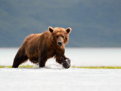 Southeast Alaska Sailing