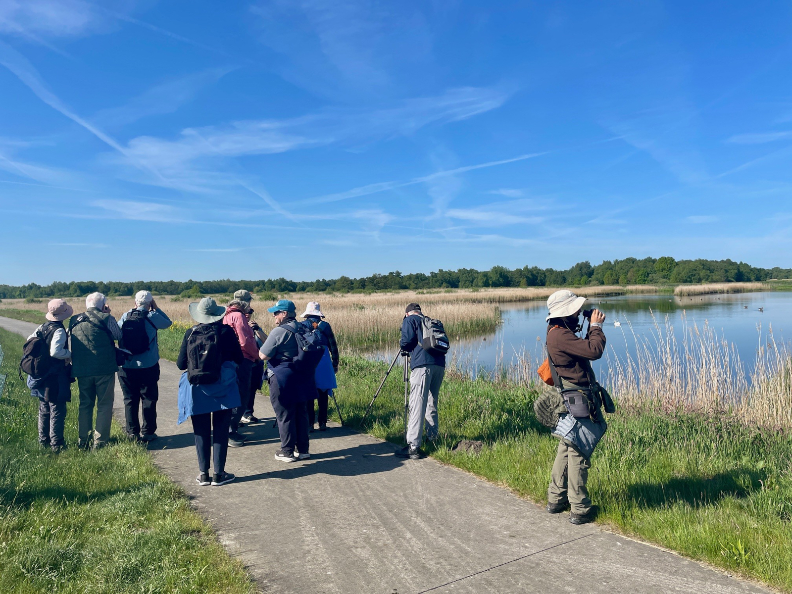 Typical polder landscape at Wetering