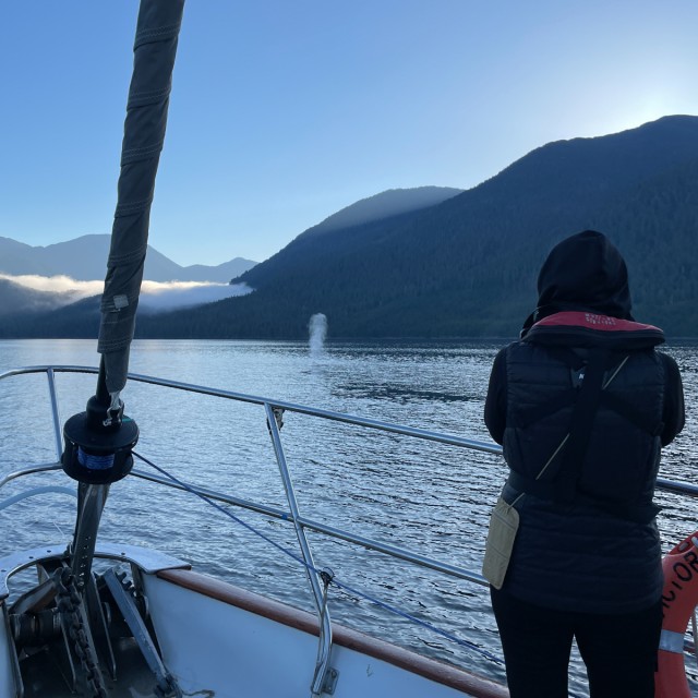 Watching whale blow from boat