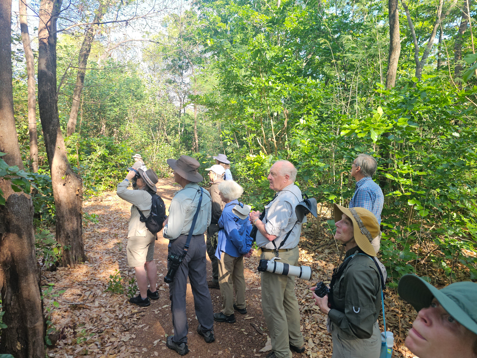 Birding at Buffalo Creek