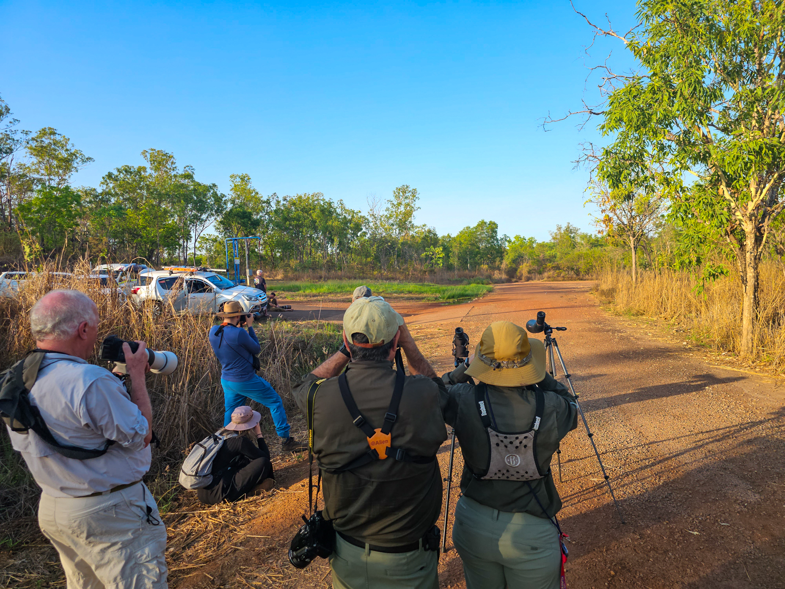 Birding at Darwin River