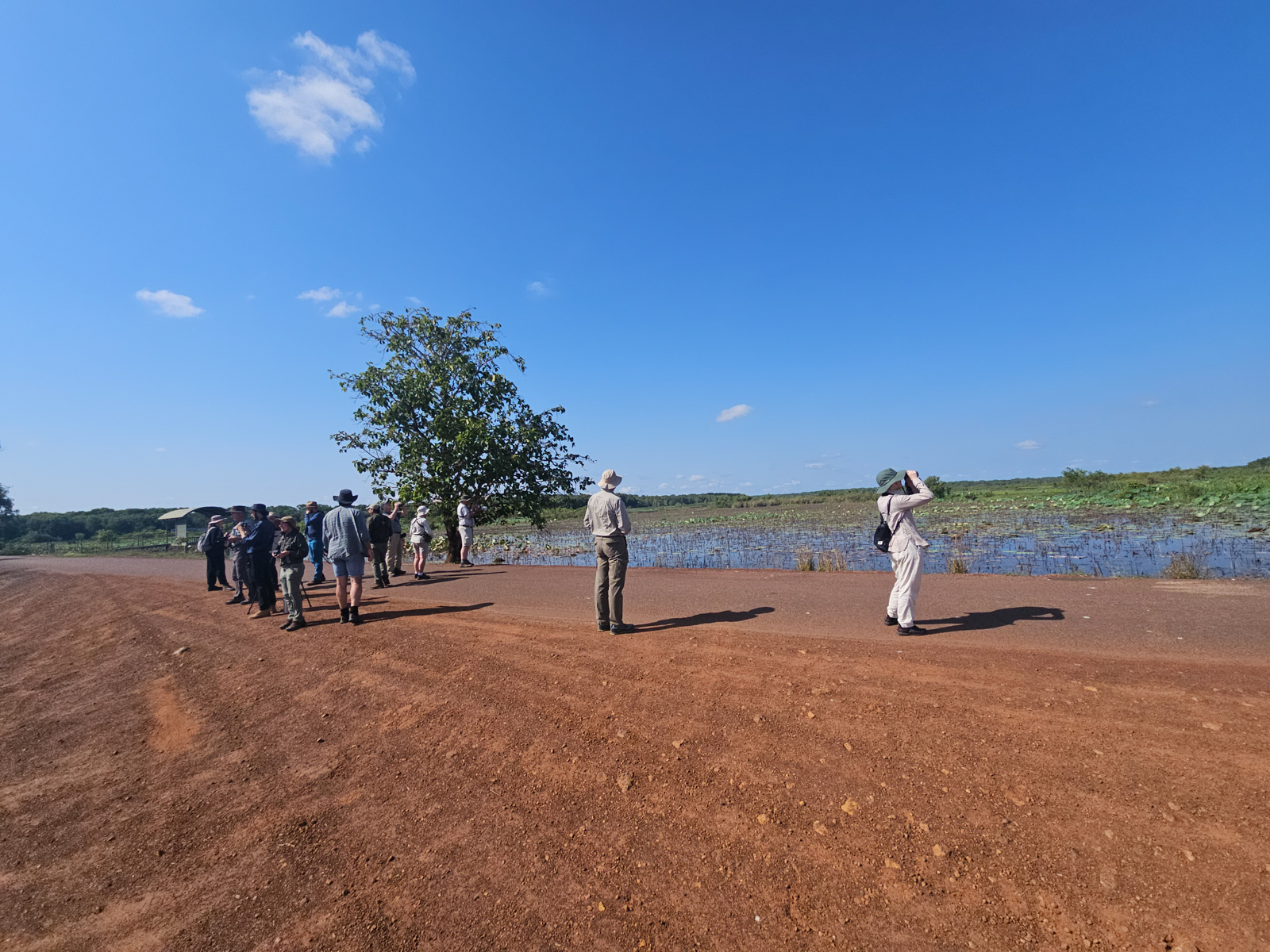 Birding at Fogg Dam